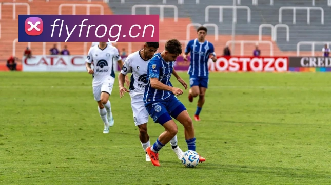 kaiyun云网页版入口平台生态图